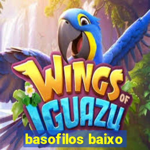 basofilos baixo